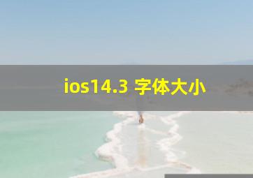 ios14.3 字体大小